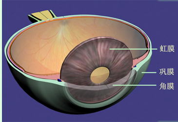 你真的了解眼球吗？华山眼科带你来了解