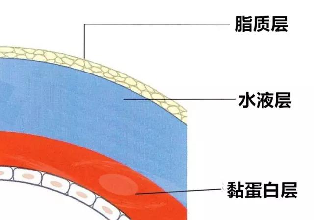 测测你是否有干眼症